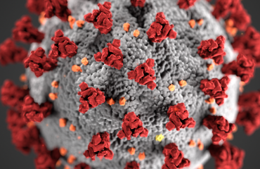 Coronavirus